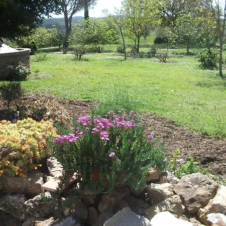 Valdicciola