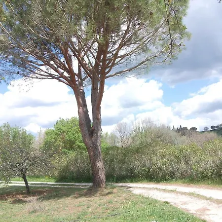 Valdicciola Suvereto