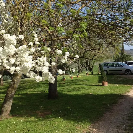 Valdicciola * Suvereto